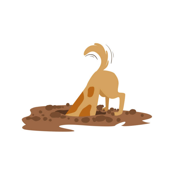 Dog searching for lost page